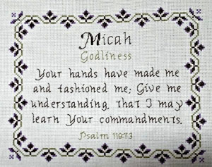 Micah Stitched By Diane Higdon